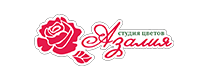 Азалия ЦВ